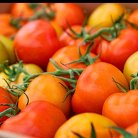 Seasonal Ontario ingredients for smarter back-to-school meals